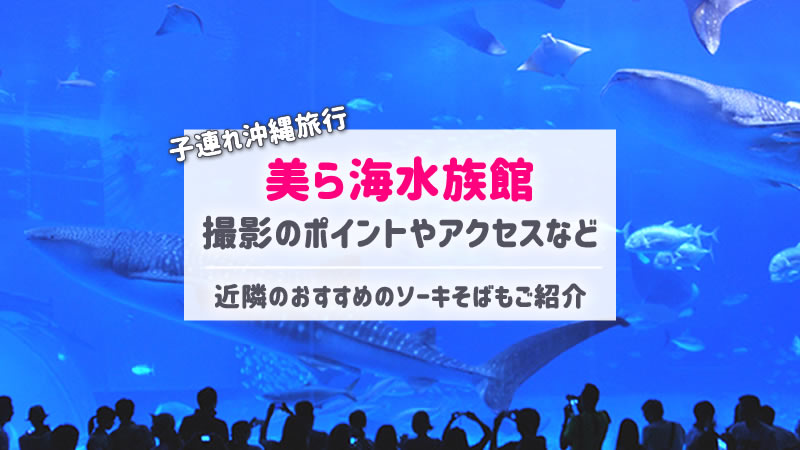 美ら海水族館と 近隣ランチにおすすめきしもと食堂 子連れ沖縄旅行 子連れで行く海外旅行のブログ