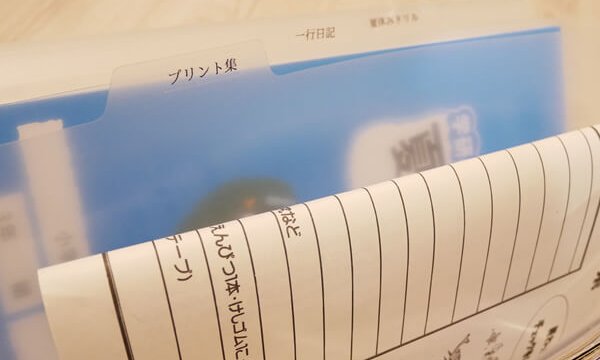 夏休みの宿題