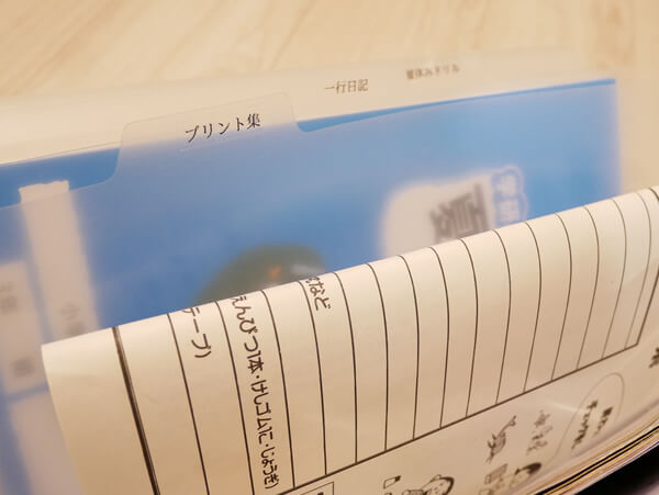 夏休みの宿題