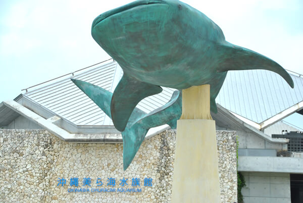 美ら海水族館入口