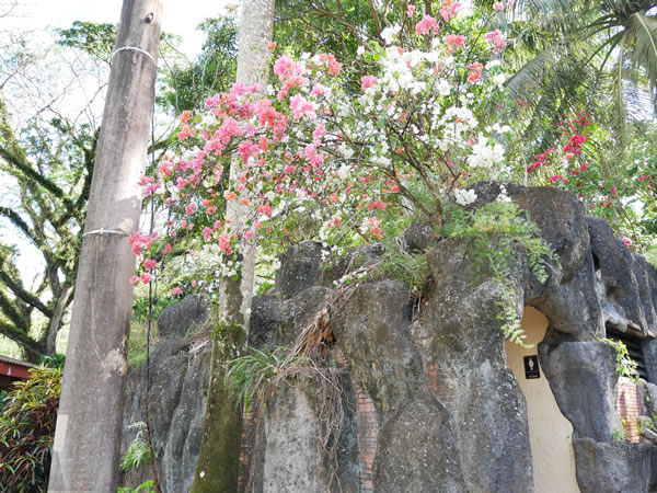 ラッテストーン公園のお手荒