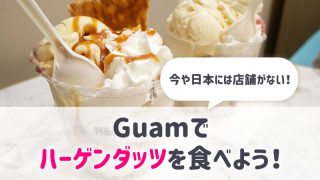 ハーゲンダッツアイキャッチ