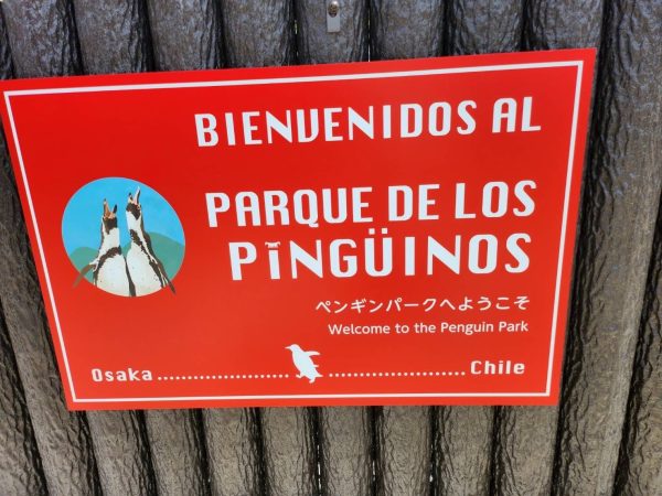 天王寺動物園・新施設「ペンギンパーク&アシカワーフ」大阪