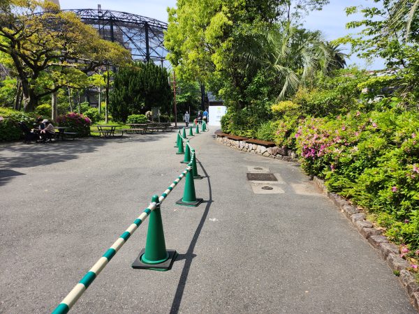 天王寺動物園・新施設「ペンギンパーク&アシカワーフ」大阪