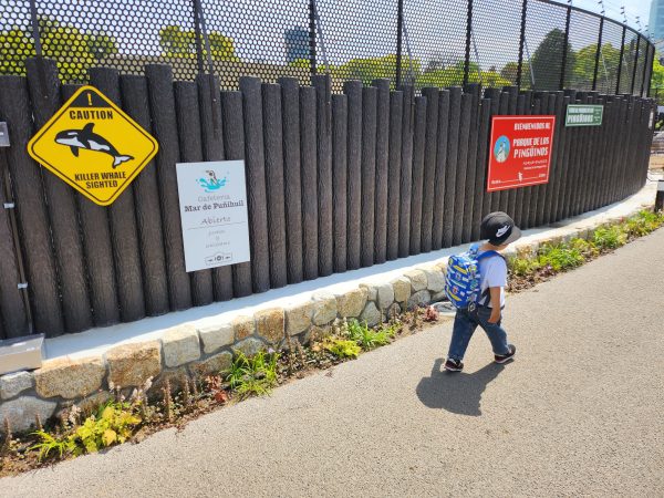 天王寺動物園・新施設「ペンギンパーク&アシカワーフ」大阪