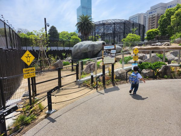 天王寺動物園・新施設「ペンギンパーク&アシカワーフ」大阪