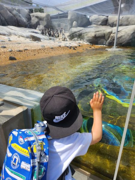 天王寺動物園・新施設「ペンギンパーク&アシカワーフ」大阪