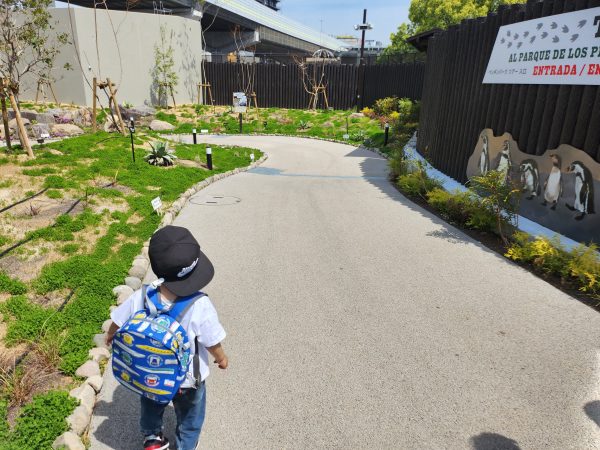 天王寺動物園・新施設「ペンギンパーク&アシカワーフ」大阪