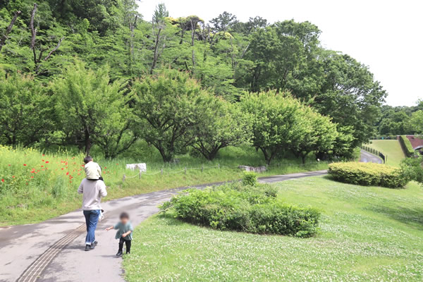 茨城県自然博物館