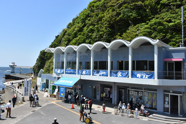 かつうら海中公園の売店・カフェ