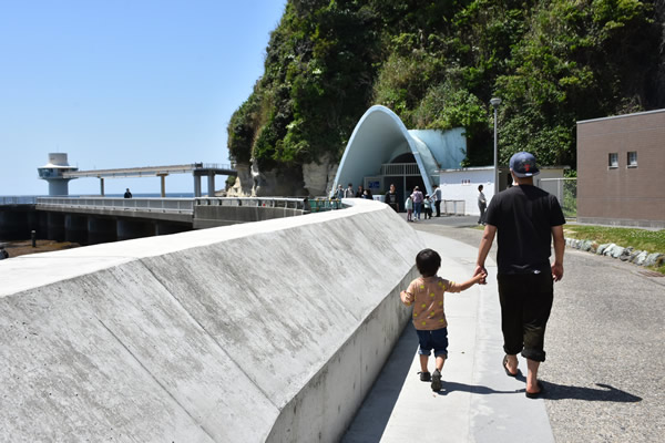 展望塔までの道｜かつうら海中公園