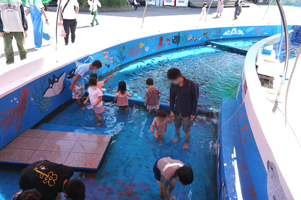 福井県越前松島水族館