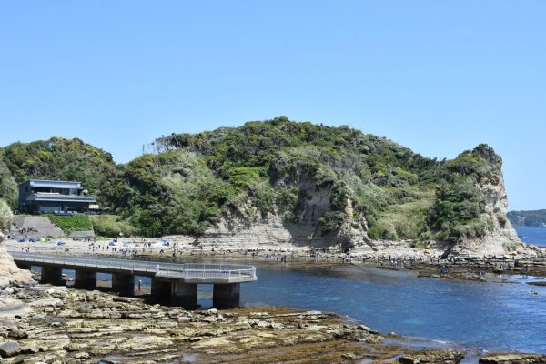 展望塔への道から見た海岸の写真