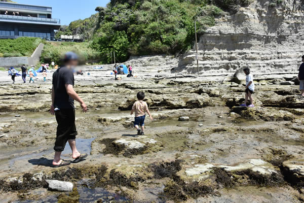 【千葉県】勝浦海中公園