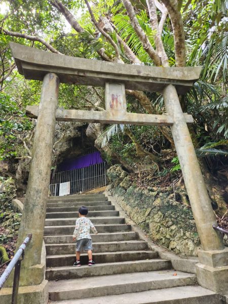 沖縄のシルミチュー