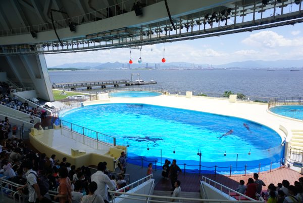 マリンワールド海の中道