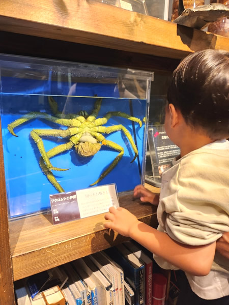 鳥羽水族館へんな生きもの研究所