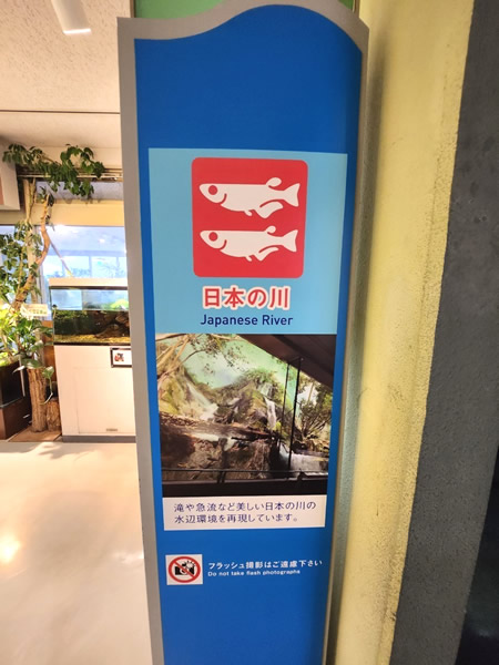 鳥羽水族館日本の川ゾーン