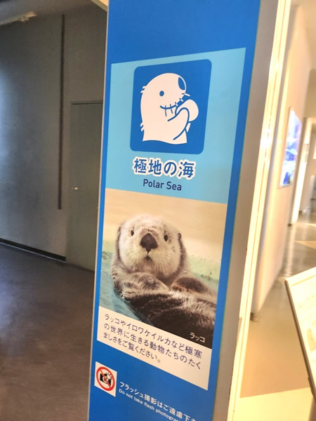 鳥羽水族館極地の海ゾーン