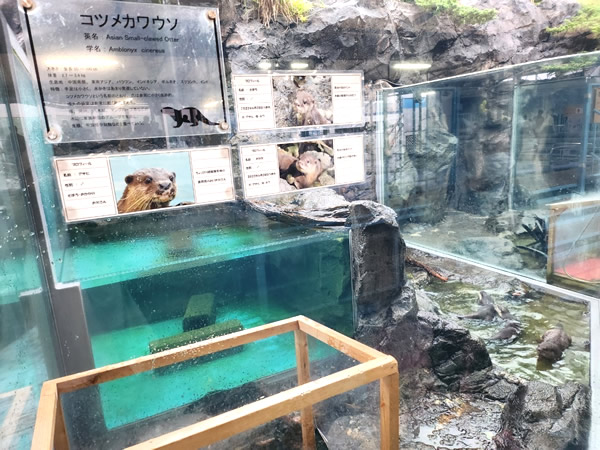 鳥羽水族館水の回廊ゾーン