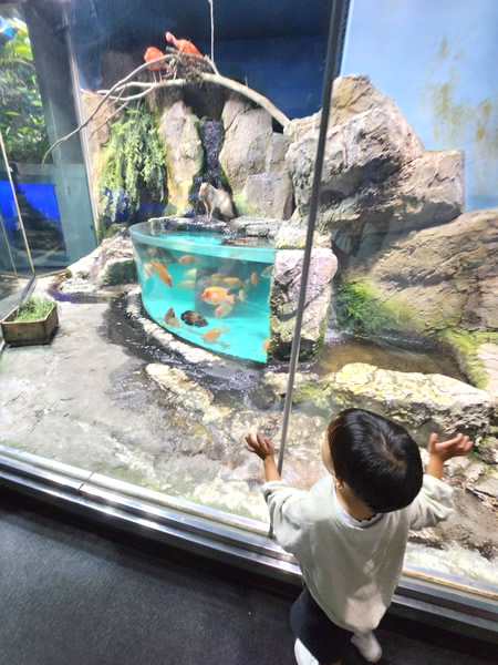 鳥羽水族館ジャングルワールド