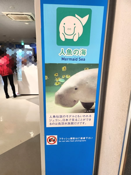 鳥羽水族館人魚の海ゾーン