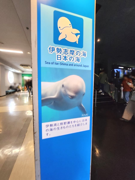 鳥羽水族館｜伊勢志摩の海／日本の海