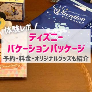 確認用まとめ　ディズニー　プーさん　バケーションパッケージ Disney - ディズニーバケーションパッケージ ブランケットの通販