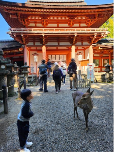 奈良公園の春日大社