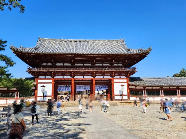奈良公園の東大寺