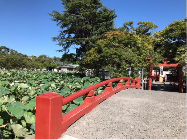 鎌倉鶴岡八幡宮｜源平池