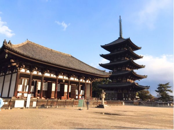 奈良公園の興福寺