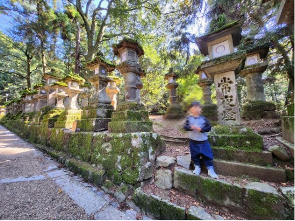 奈良公園の春日大社