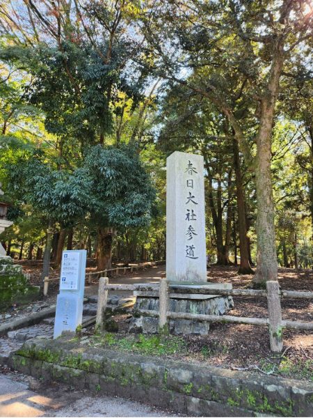 奈良公園の春日大社参道