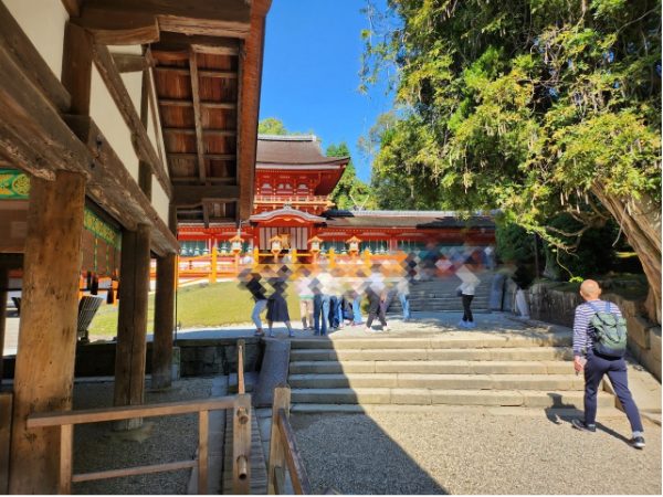 奈良公園の春日大社