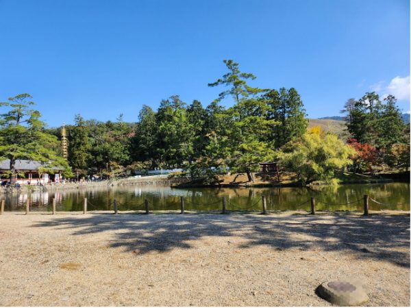 奈良公園東大寺大仏殿前の鏡池