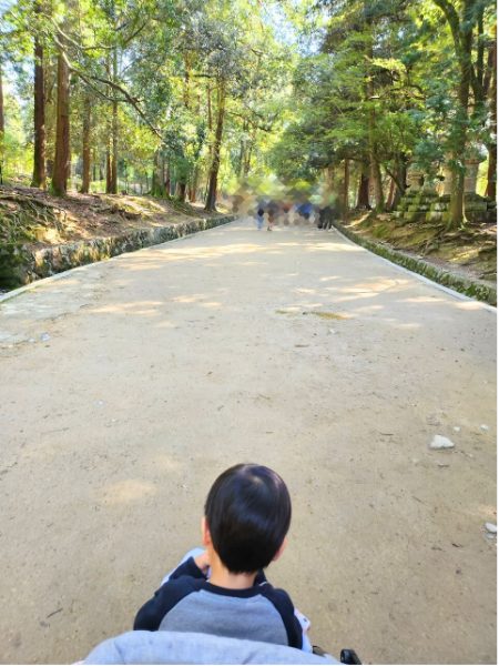 奈良公園の春日大社参道