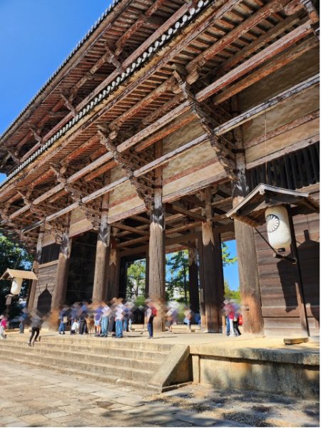奈良公園東大寺の南大門