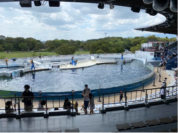 京都水族館イルカスタジアム (屋外)…バンドウイルカ