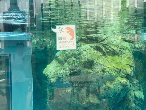 京都水族館のLINEQRコード