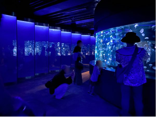 京都水族館・クラゲの水槽はトンネル