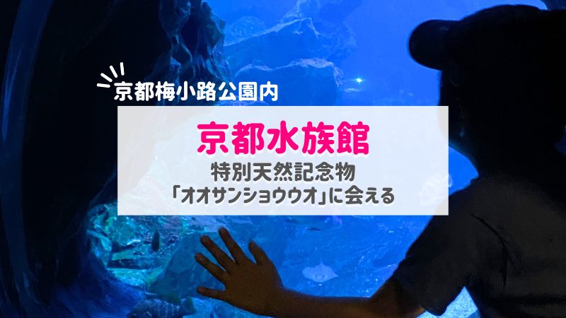 京都水族館レポ｜特別天然記念物オオサンショウウオやイルカに会える