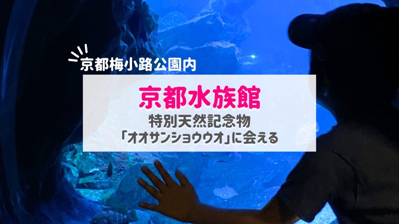 京都水族館アイキャッチ