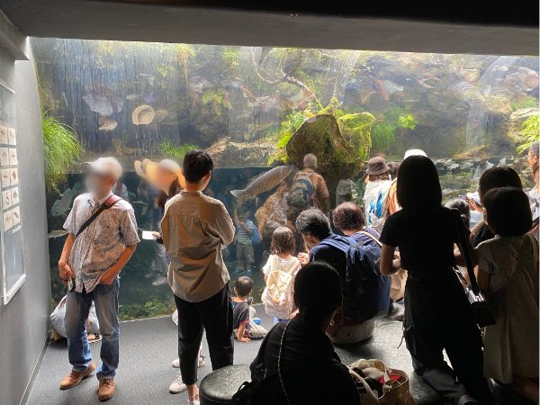 京都水族館・京の川の展示