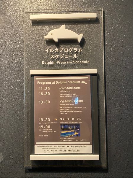 京都水族館のイルカプログラムスケジュール