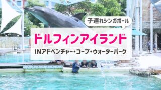 子連れシンガポールでドルフィンアイランド｜チケット予約や費用総額