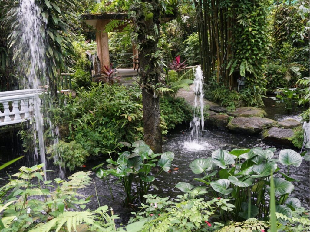 KLバタフライパークの緑溢れる園内
