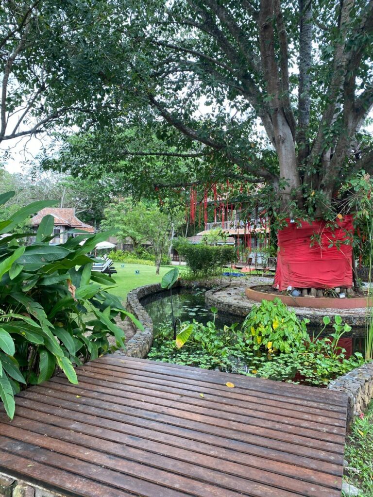テンプルツリーリゾート・ランカウイ (Temple Tree Resort Langkawi)の中庭の木