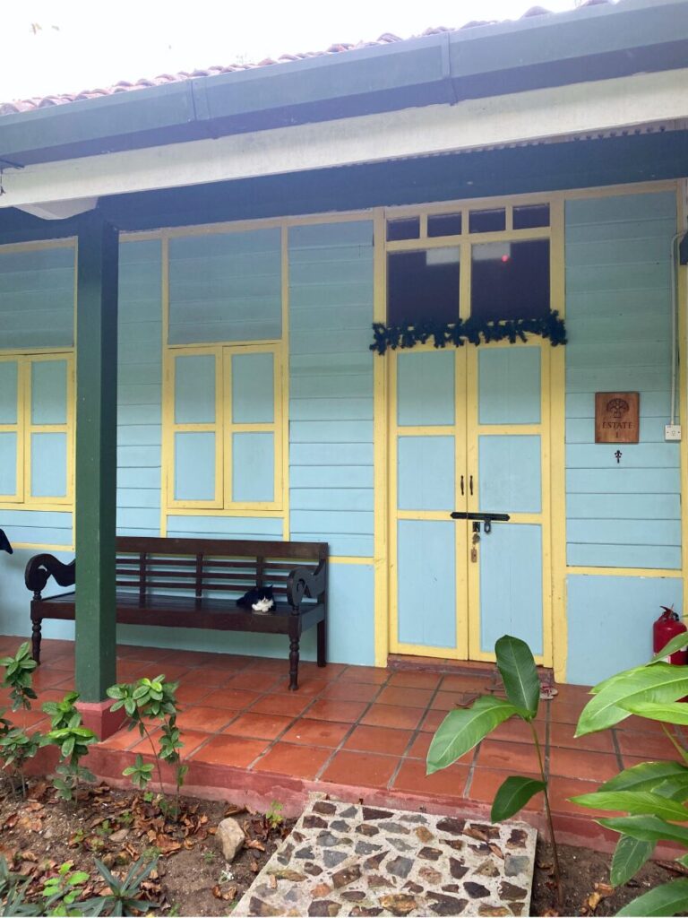 テンプルツリーリゾート・ランカウイ (Temple Tree Resort Langkawi)でくつろぐ猫
