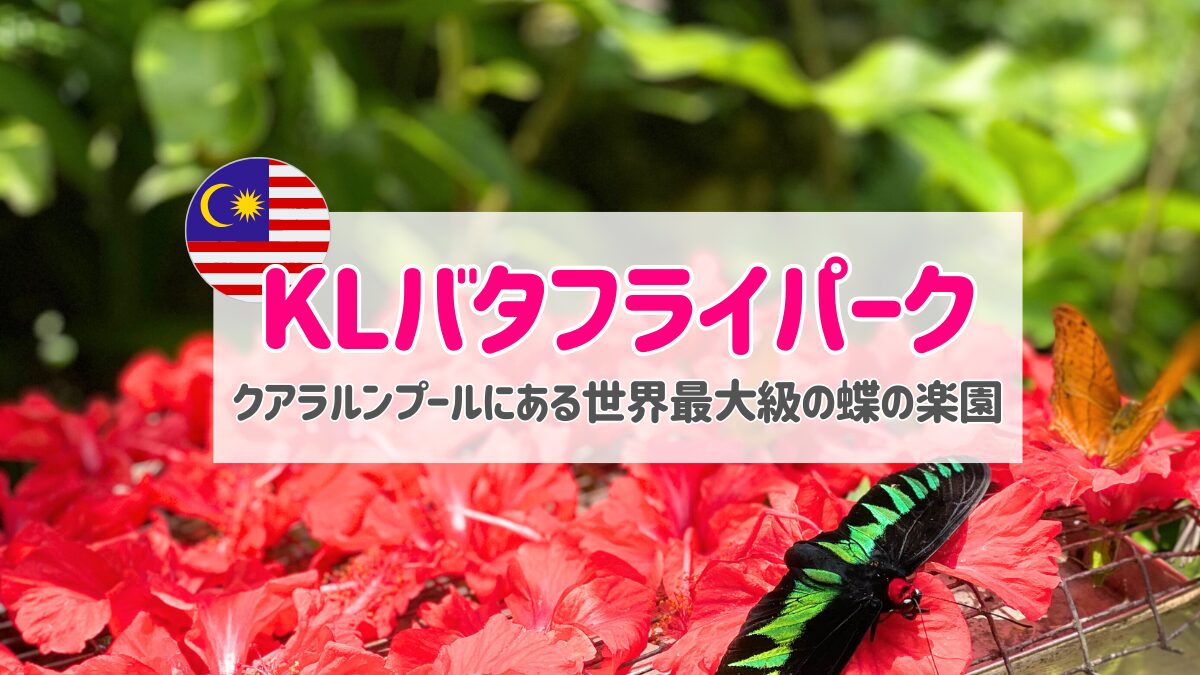 クアラルンプールバタフライパーク|マレーシア観光におすすめの蝶を楽しむ公園